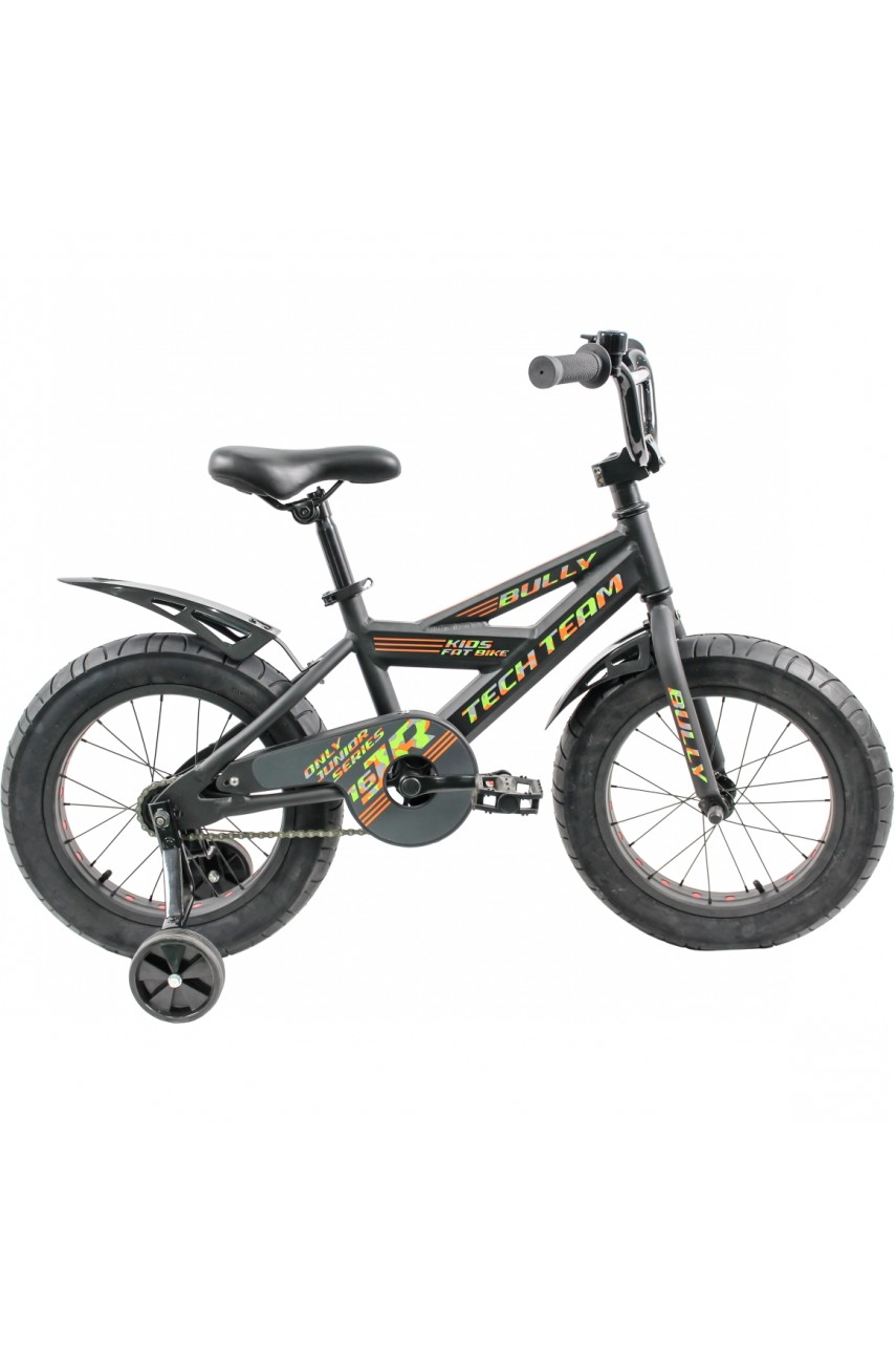 Детский велосипед TECH TEAM BULLY 2021 черный 16 ' NN001521