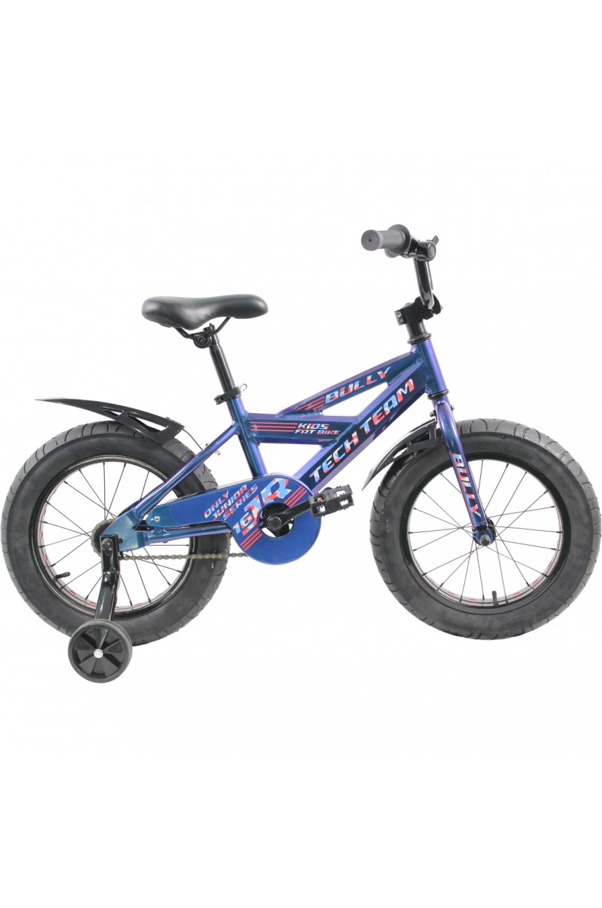 Детский велосипед TECH TEAM BULLY 2021 синий 16 ' NN001522