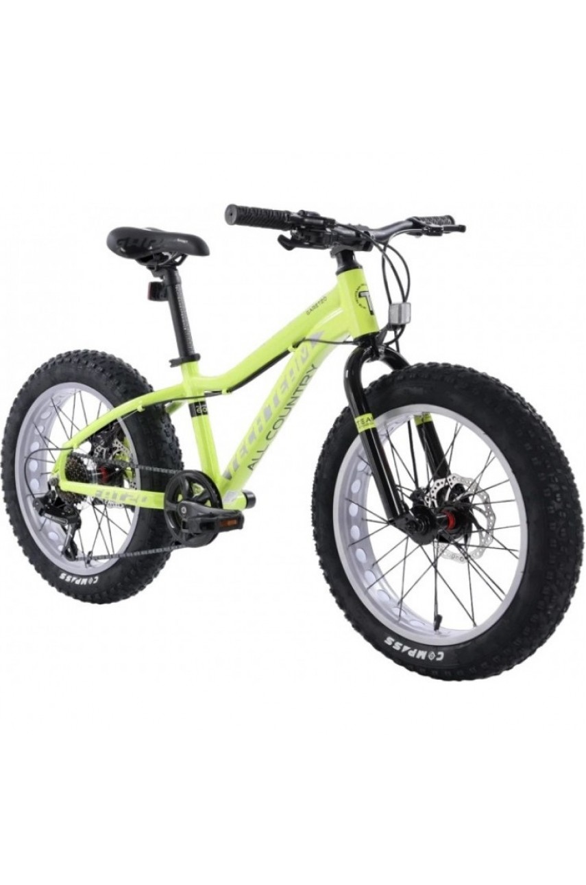 Велосипед TECH TEAM GARET 20'х12' зеленый 2023 NN004275