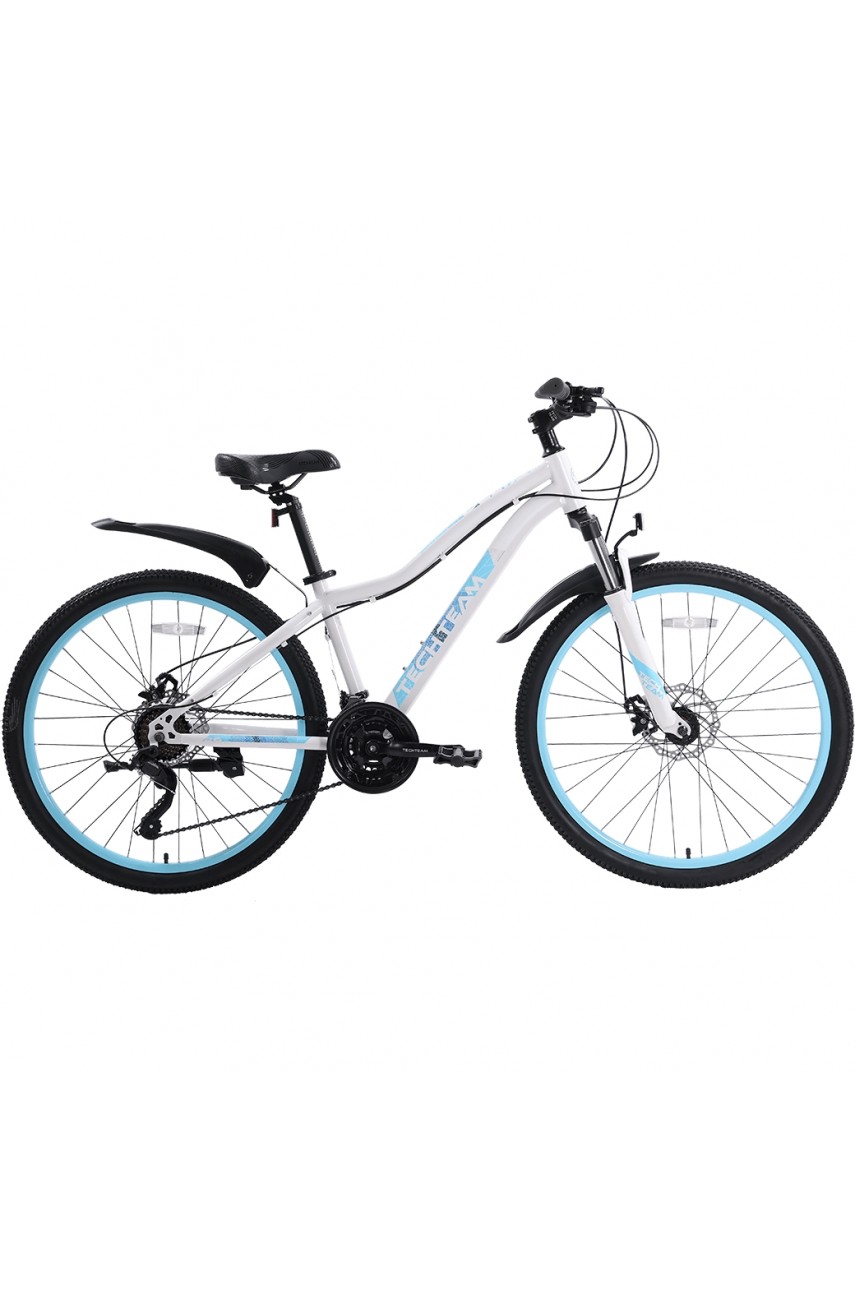 Велосипед TECH TEAM DELTA 26х14 2022 бело-синий NN007678