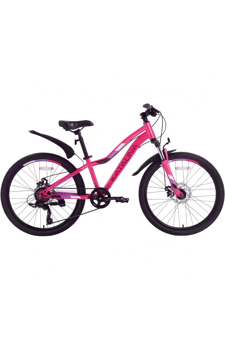 Велосипед TECH TEAM KATALINA 24'х13' розовый 2023 NN010421