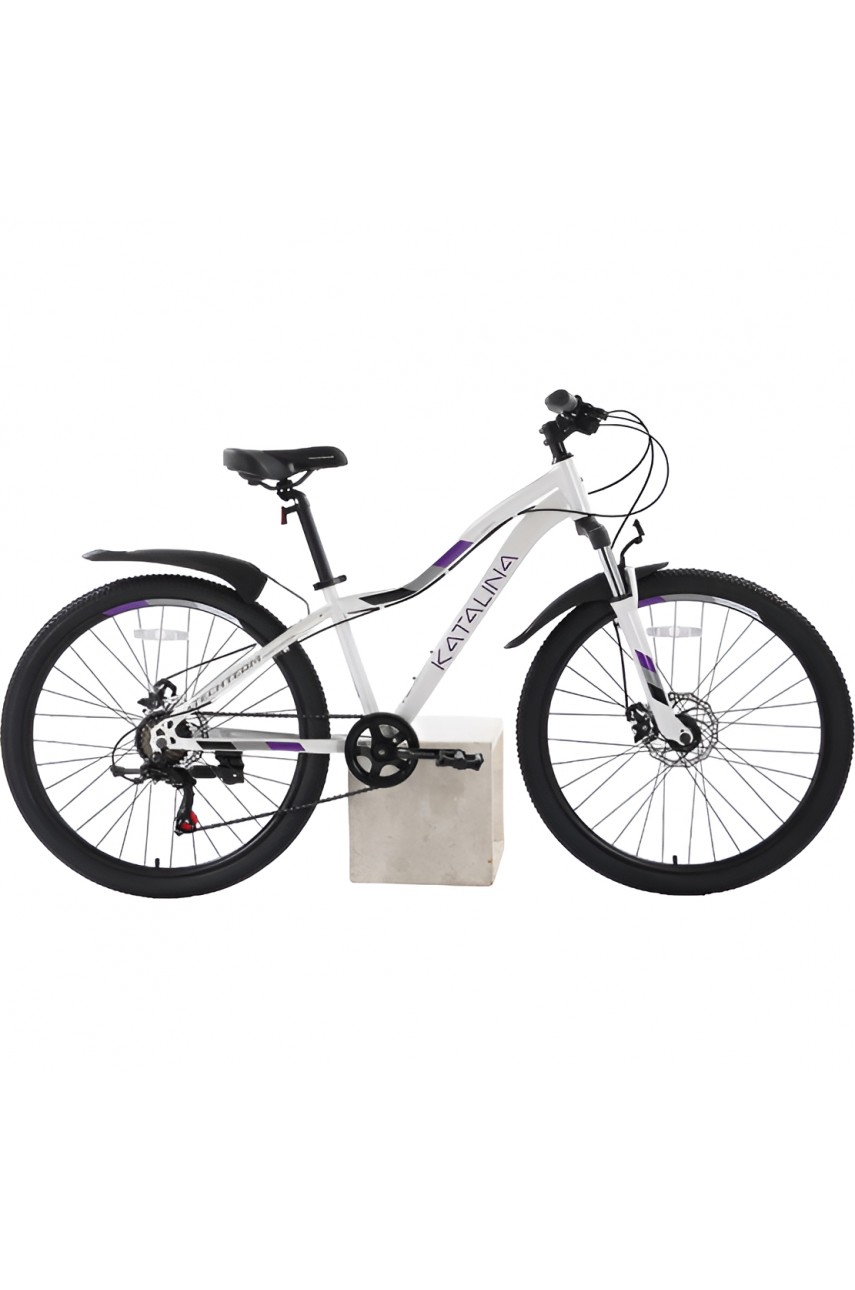 Велосипед TECH TEAM KATALINA 22'х12' белый 2023 NN010474