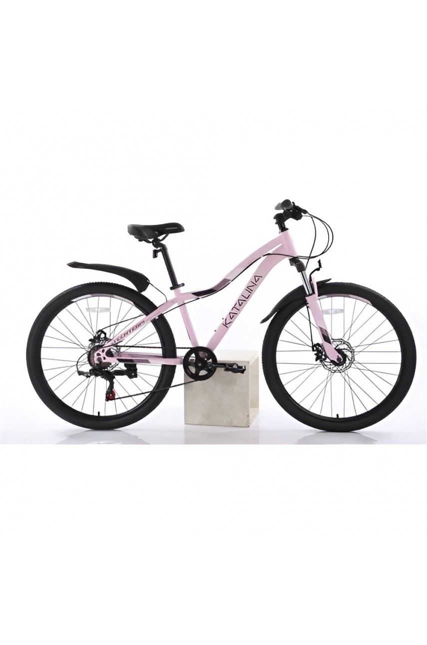 Велосипед TECH TEAM KATALINA 22'х12' розовый 2023 NN010476