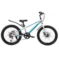 Детский велосипед TECH TEAM Forca 20' grey/blue (магниевый сплав) NN012561