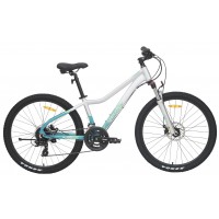 Велосипед TECH TEAM Delta 26'х14' серебряный 2024 (алюминий) NN012629