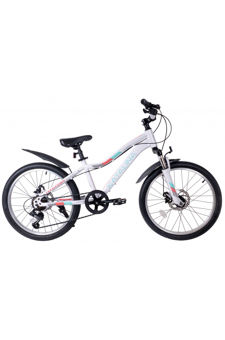 Городской велосипед TECH TEAM KATALINA 20'х11' белый 2024 NN012635