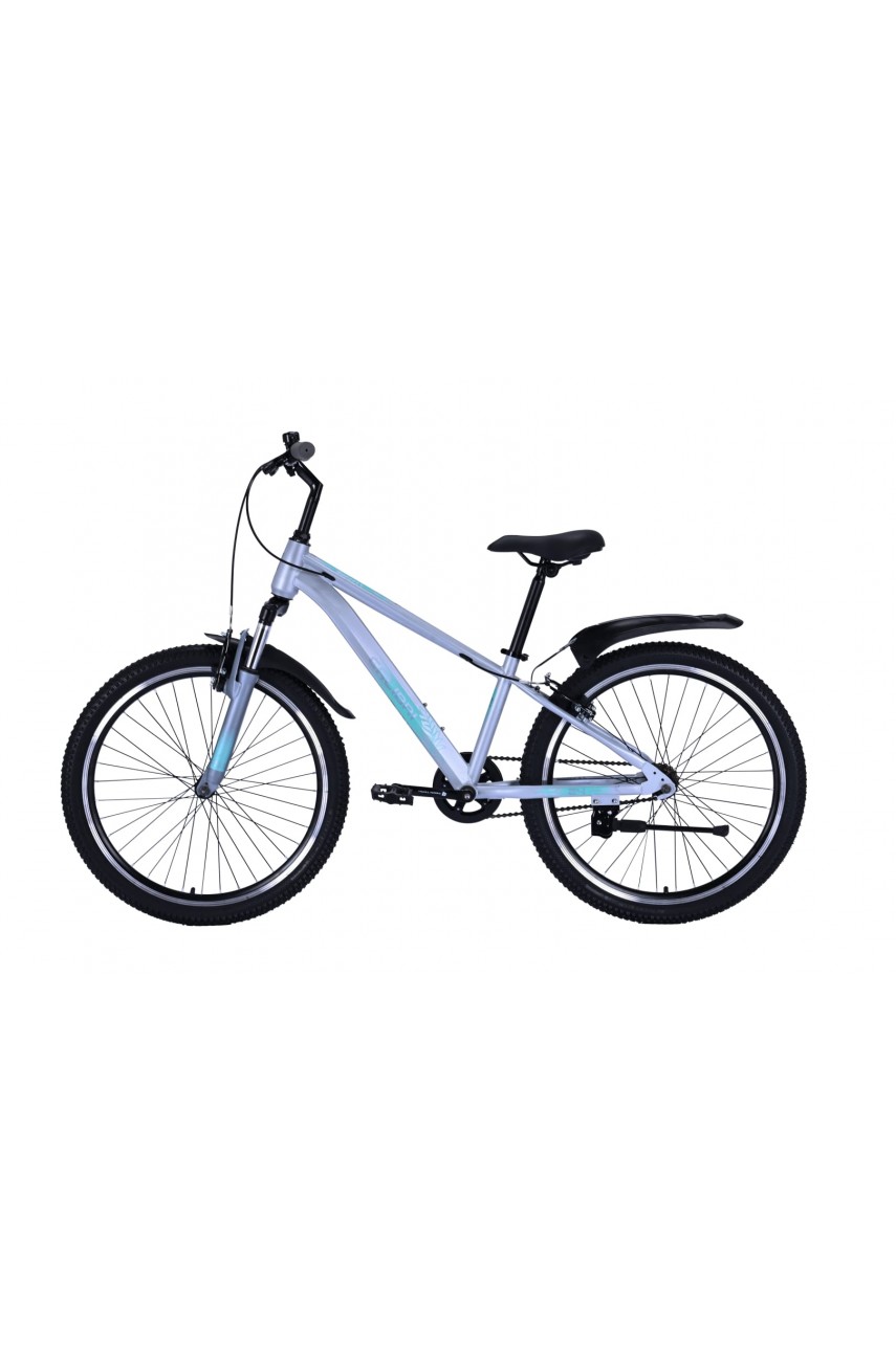Велосипед MTB TECH TEAM Calibri 24x12 серебряный NN013440