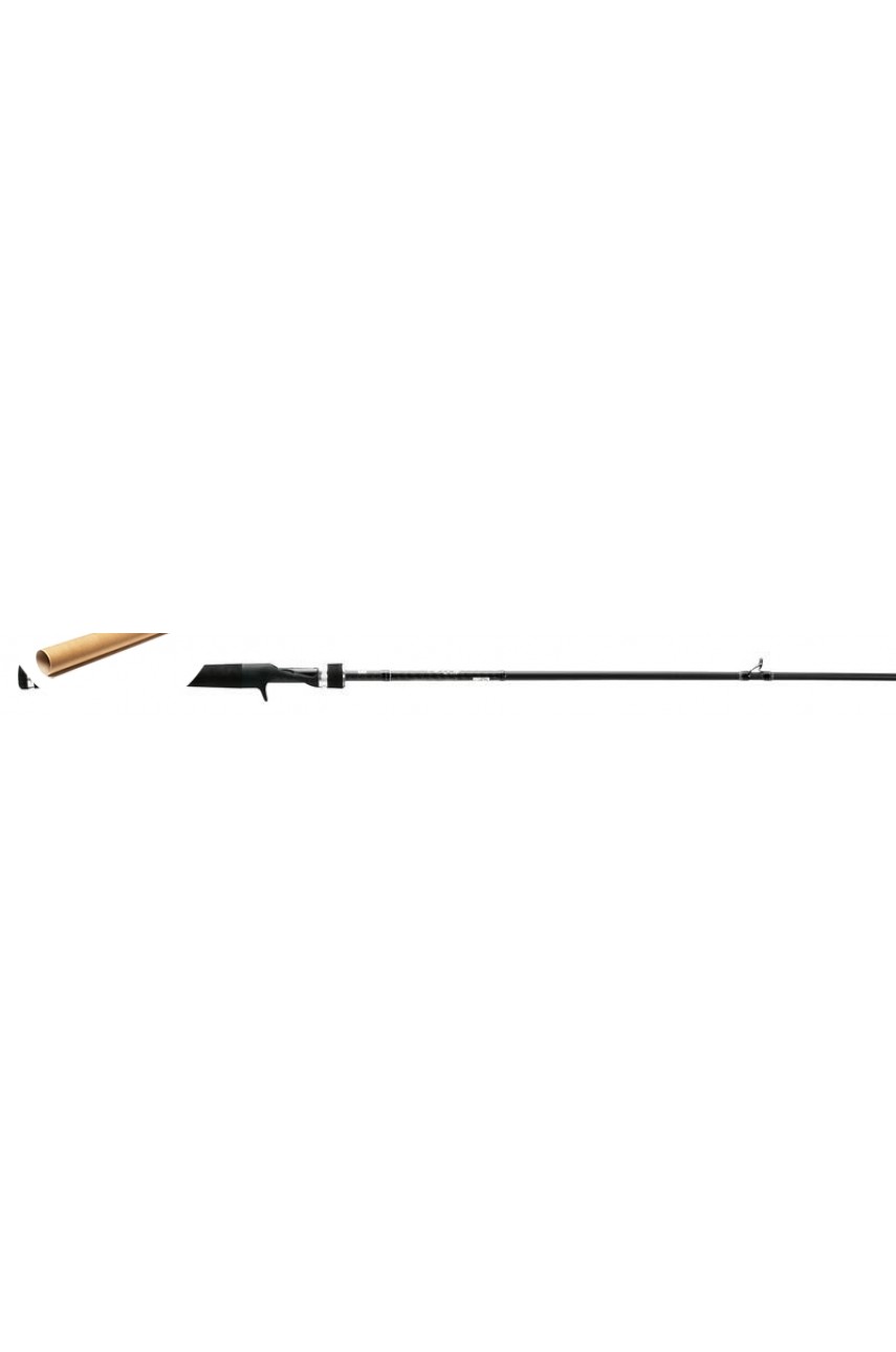 Удилище 13 Fishing Fate Black - 10 H 20-80g Spin rod - 2pc модель FTBS100H2 от 13 FISHING