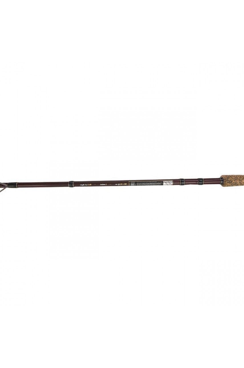 Спиннинг Mikado EXCELLENCE GOLIAT 255 (50-160 г.)